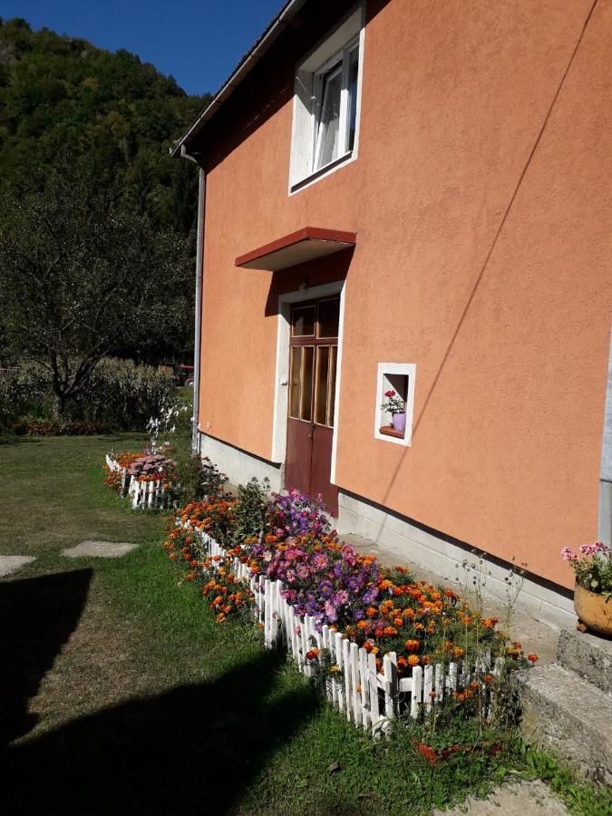 Отели типа «постель и завтрак» Etno Konak MB Колашин-14