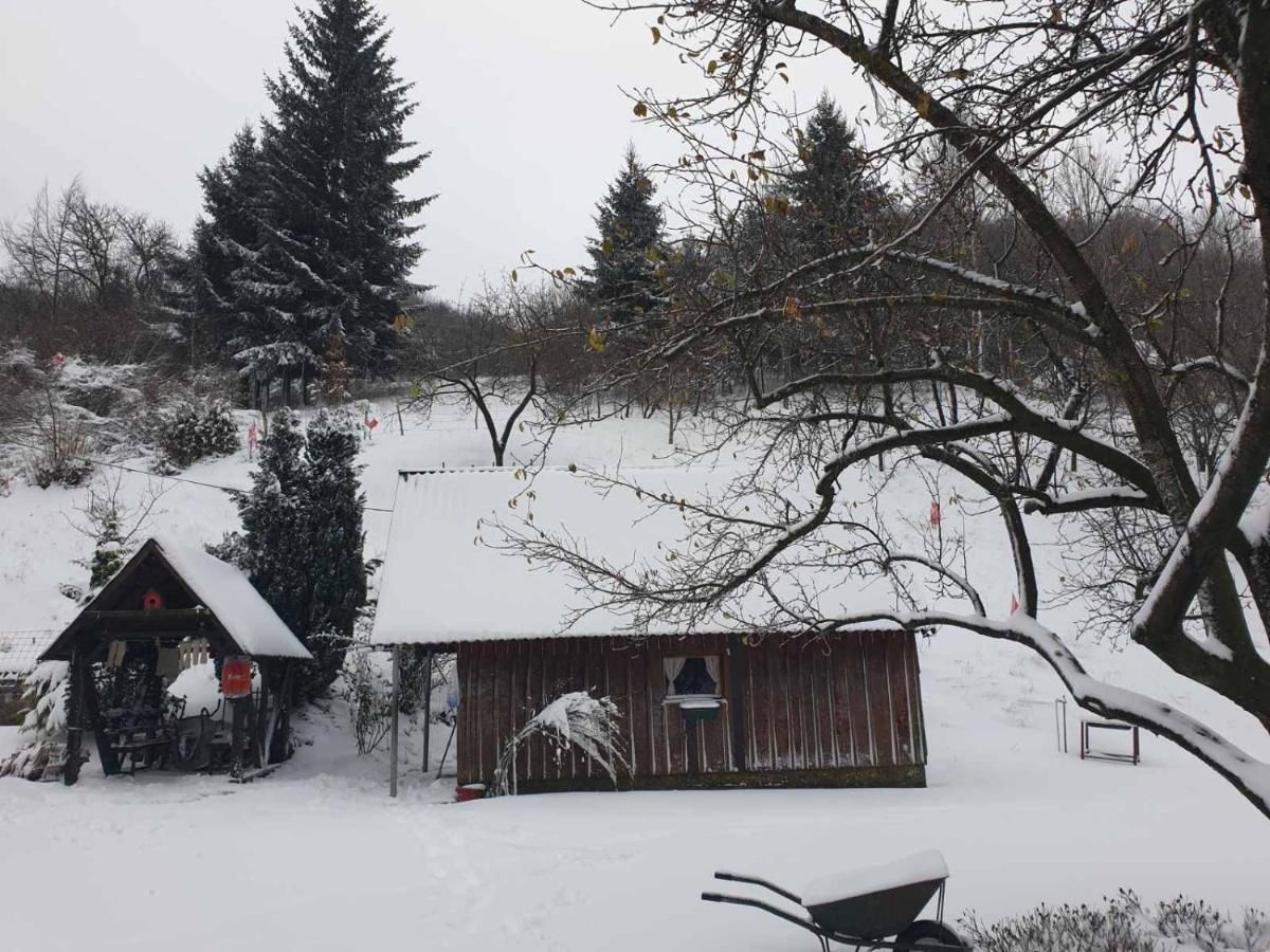 Отели типа «постель и завтрак» Etno Konak MB Колашин-5