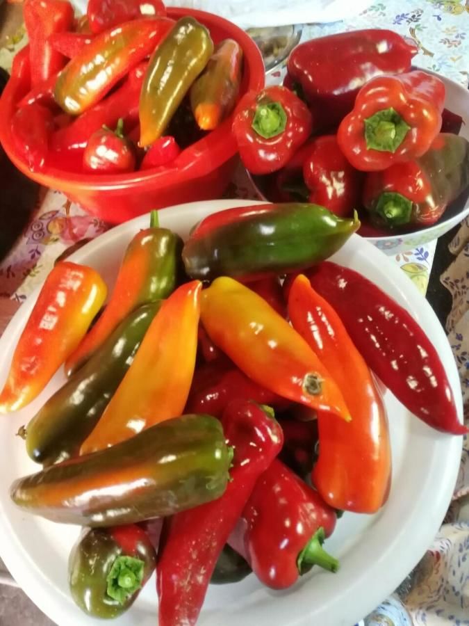 Отели типа «постель и завтрак» Etno Konak MB Колашин-25