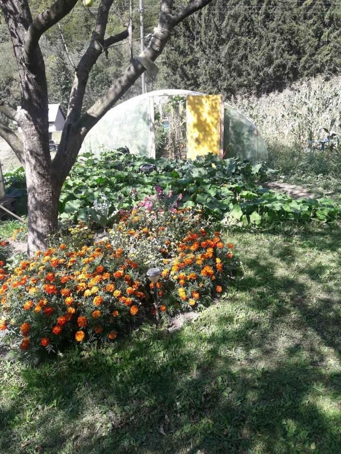 Отели типа «постель и завтрак» Etno Konak MB Колашин-30