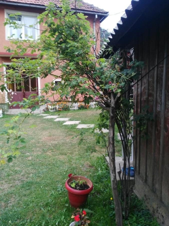 Отели типа «постель и завтрак» Etno Konak MB Колашин-35