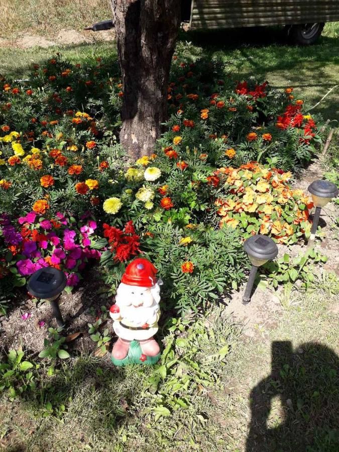 Отели типа «постель и завтрак» Etno Konak MB Колашин-37