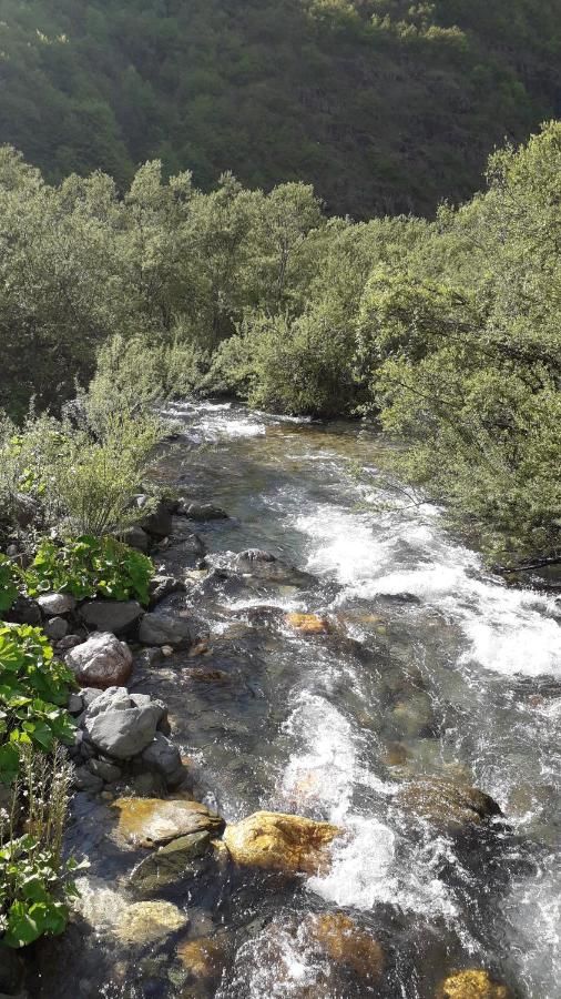 Отели типа «постель и завтрак» Etno Konak MB Колашин-48