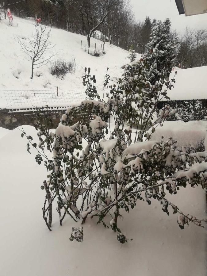 Отели типа «постель и завтрак» Etno Konak MB Колашин-10