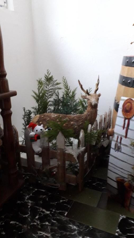 Отели типа «постель и завтрак» Etno Konak MB Колашин-12