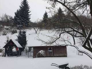 Отели типа «постель и завтрак» Etno Konak MB Колашин-1