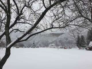 Отели типа «постель и завтрак» Etno Konak MB Колашин-3