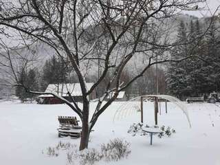 Отели типа «постель и завтрак» Etno Konak MB Колашин-4