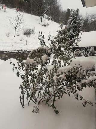 Отели типа «постель и завтрак» Etno Konak MB Колашин-6