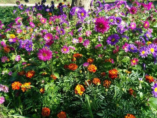 Отели типа «постель и завтрак» Etno Konak MB Колашин-19