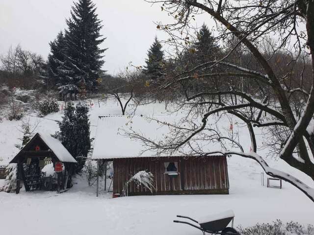 Отели типа «постель и завтрак» Etno Konak MB Колашин-4