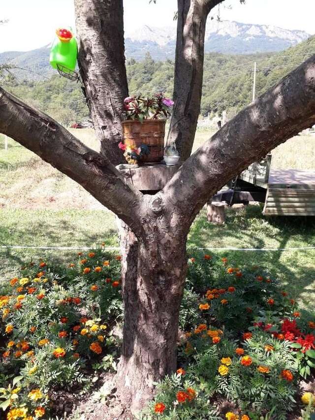 Отели типа «постель и завтрак» Etno Konak MB Колашин-31