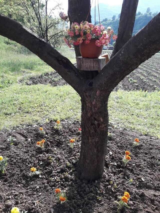 Отели типа «постель и завтрак» Etno Konak MB Колашин-43