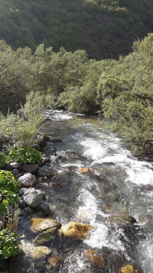 Отели типа «постель и завтрак» Etno Konak MB Колашин-47