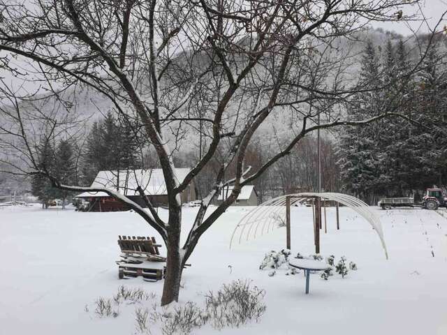 Отели типа «постель и завтрак» Etno Konak MB Колашин-7