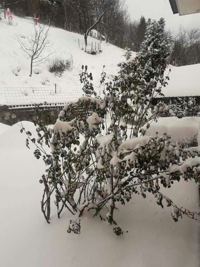 Отели типа «постель и завтрак» Etno Konak MB Колашин-9