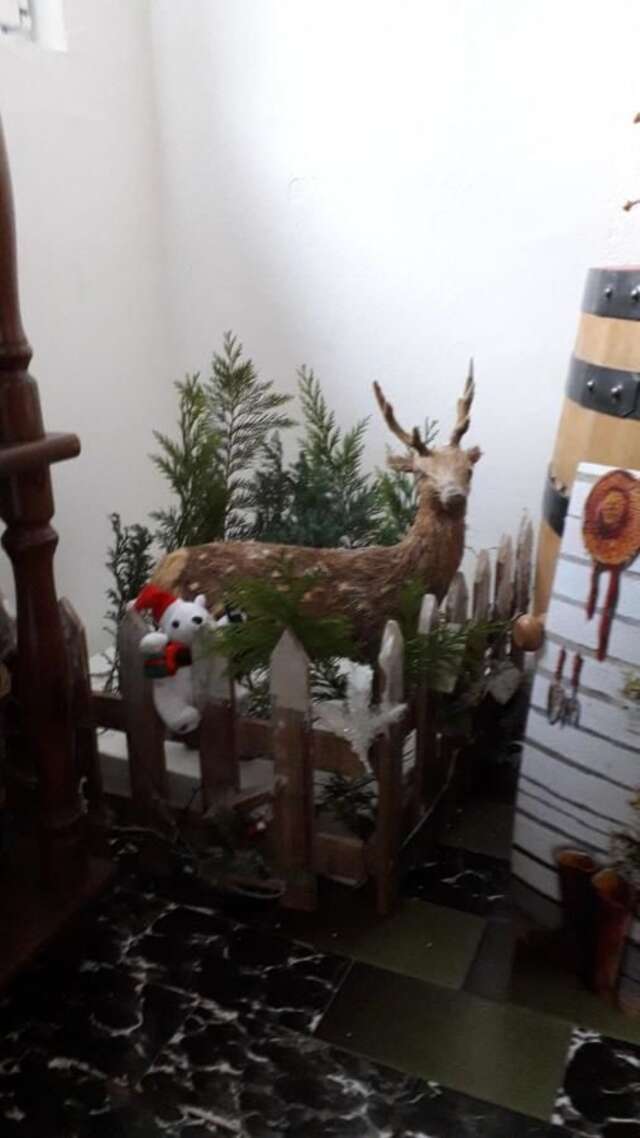 Отели типа «постель и завтрак» Etno Konak MB Колашин-11